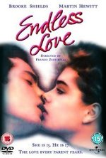 Watch Endlose Liebe kostenlos online. Endlose Liebe poster