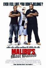 Watch Malibu's Most Wanted online free.