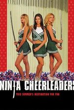 Смотреть Ninja Cheerleaders онлайн бесплатно.