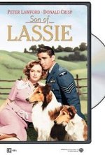 Son of Lassie poster
