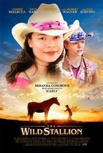 Watch The Wild Stallion online free. The Wild Stallion poster