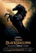 Watch The Young Black Stallion online free.