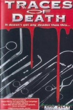 Смотреть Traces of Death II онлайн бесплатно.