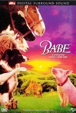 Watch Babe online free. Babe poster