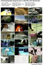 Watch Drugs, Inc. kostenlos online.