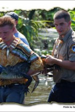 Watch Nat Geo Wild: Swamp Men online free.