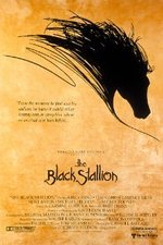 Смотреть The Black Stallion онлайн бесплатно.