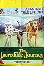 Смотреть The Incredible Journey онлайн бесплатно.