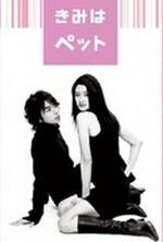 Regarder Kimi wa Petto en ligne gratuitement. Kimi wa Petto poster