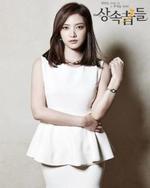 Watch The Heirs online free.