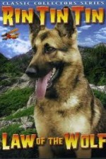 Watch Law of the Wolf online free.