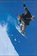 Смотреть The Art of Flight онлайн бесплатно.