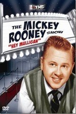 Watch The Mickey Rooney Show online free.