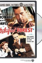 Watch The Petrified Forest online free. The Petrified Forest poster