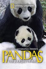 Watch Pandas: The Journey Home online free.