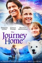 Guarda online Midnight Sun gratuitamente.