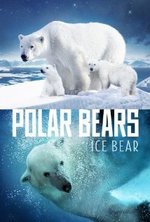 Watch Polar Bears: Ice Bear kostenlos online.