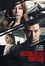 Guarda online Accidental Switch gratuitamente. Accidental Switch poster