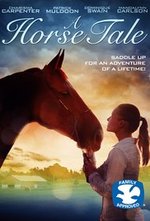 A Horse Tail poster