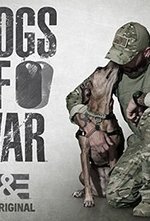 Watch Dogs of War online free.