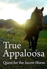 Watch True Appaloosa online free.