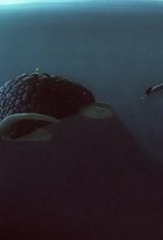 Смотреть Caldera онлайн бесплатно.