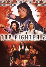 Top Fighter 2 poster